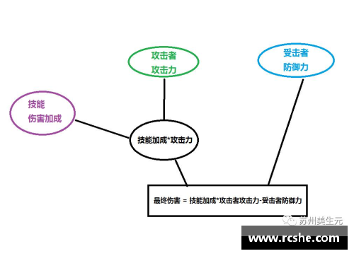 典型体系球员分析与战术演变